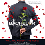 Bachelor SQ