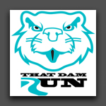 Dam Run 2020
